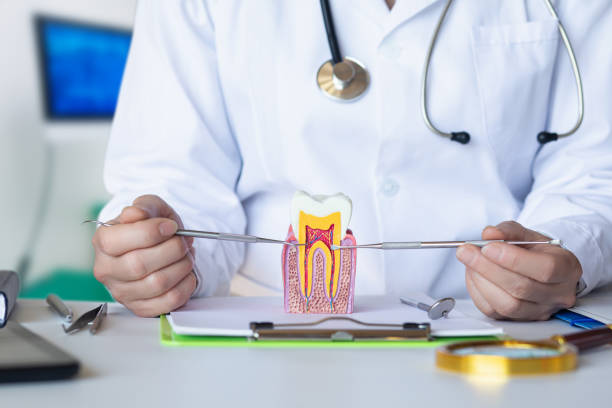 Best Urgent Care for Lost Fillings or Crowns in North Randall, OH